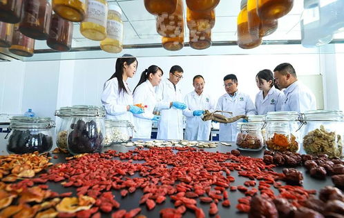 科技賦能，張掖植物工廠助力農特產品提質增效